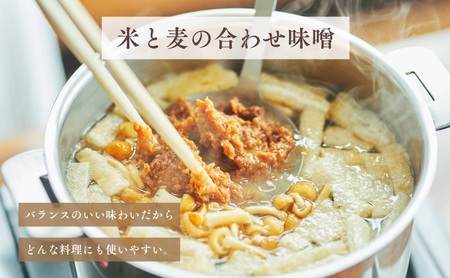 信州白樺印みそ 1kg（毎月1ヶ×6ヶ月コース） 味噌 信州みそ 定期便 調味料 みそ汁 