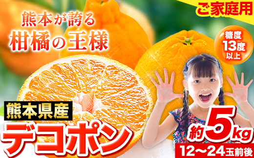先行予約 デコポン 5kg 訳あり デコポン ご家庭用デコポン 約 5kg 前後(約12-24玉前後) 糖度13度以上 個別光センサー選果 みかん  柑橘 フルーツ 旬 不知火 でこぽん《4月下旬-5月末頃出荷》生産量日本一熊本県産(荒尾市産含む) 柑橘 フルーツ 旬 不知火 でこぽん