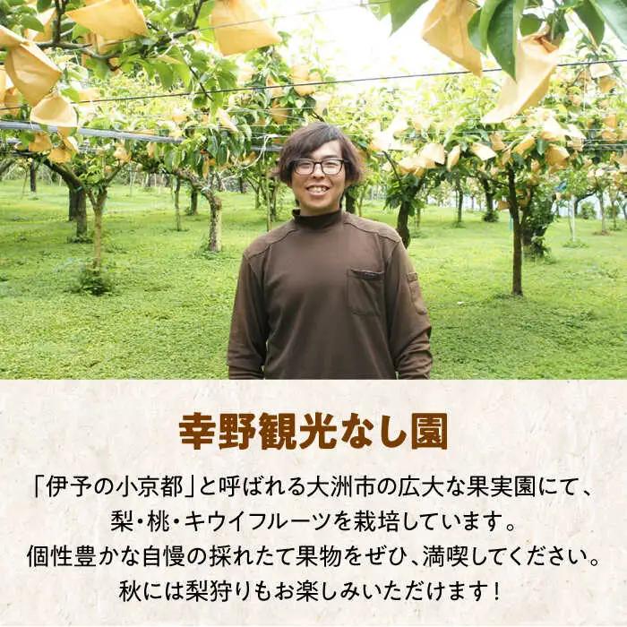 梨 特選 豊水 2kg（5-7個）豊水[AGBD005]