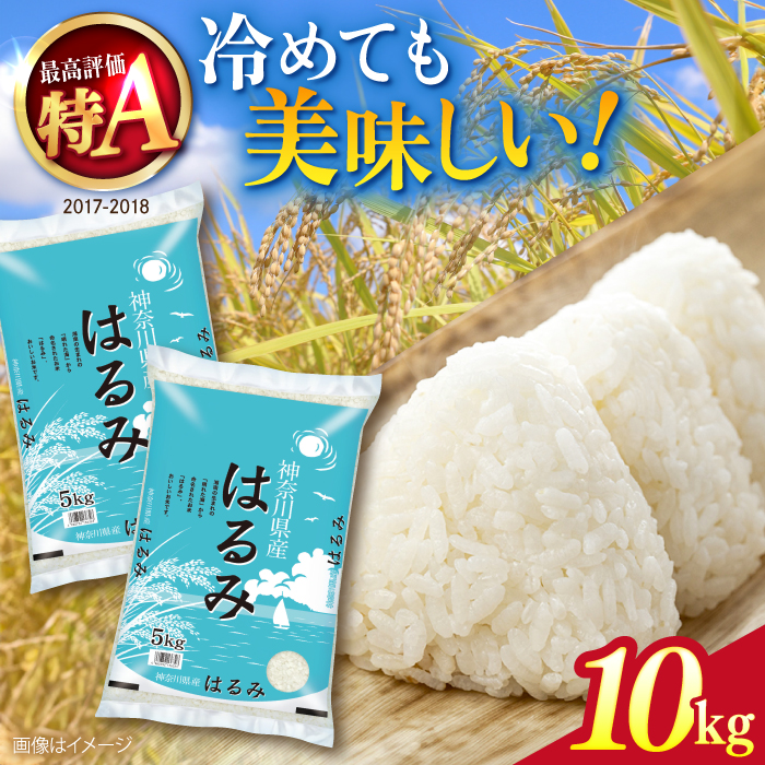 【数量限定】お米　はるみ　10kg  希少 米 おこめ 特A コメ 精米 さっぱり 粘り おにぎり お弁当 精米 10キロ【株式会社ヨコショク】 [AKGC002]