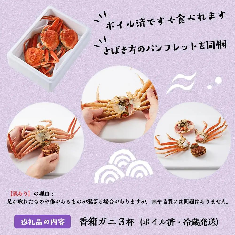 【2026年 予約受付】【訳あり】金沢港より直送！ボイル 香箱ガニ 3杯セット 2026年発送 香箱かに 蟹