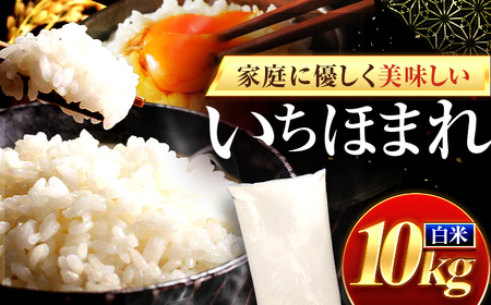 福井県産 いちほまれ 精米 10kg 県産ブランド米 / コメ 白米 新米 米 小浜市 / 梅田東米穀店[BFEK019]
