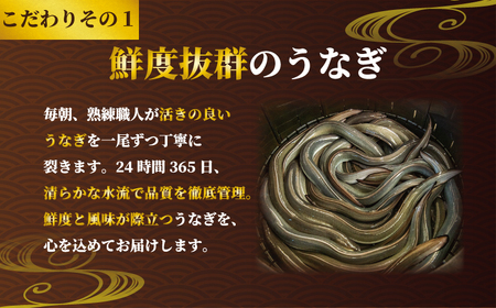国産うなぎ 白焼き 3枚 約120g×3 定期便6回 うなぎ うなぎ うなぎ うなぎ うなぎ 石毛川魚店