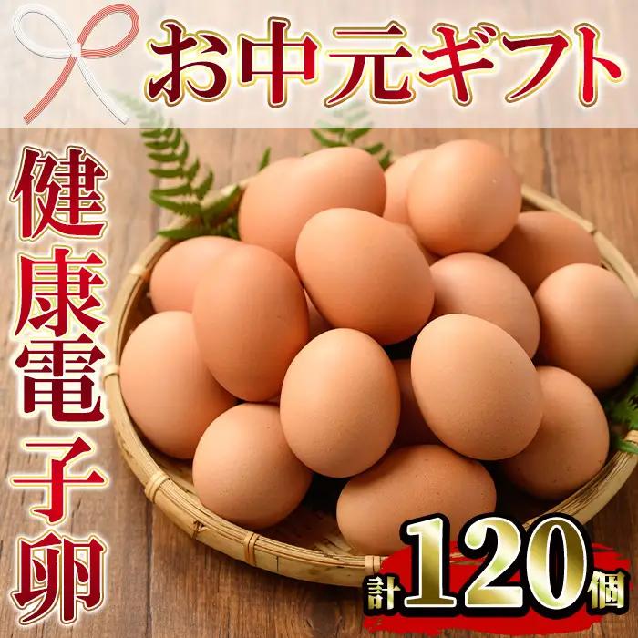 【お中元】たまご　12パック 120個入り　健康電子たまご　(内10個 宅配破損時 保証卵付) 【00-095-04-R8OC】
