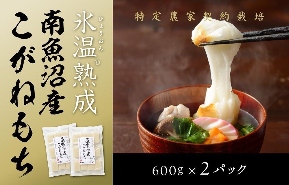 【生切り餅】氷温熟成南魚沼産こがねもち1.2kg【2026年1月14日より順次発送予定】
