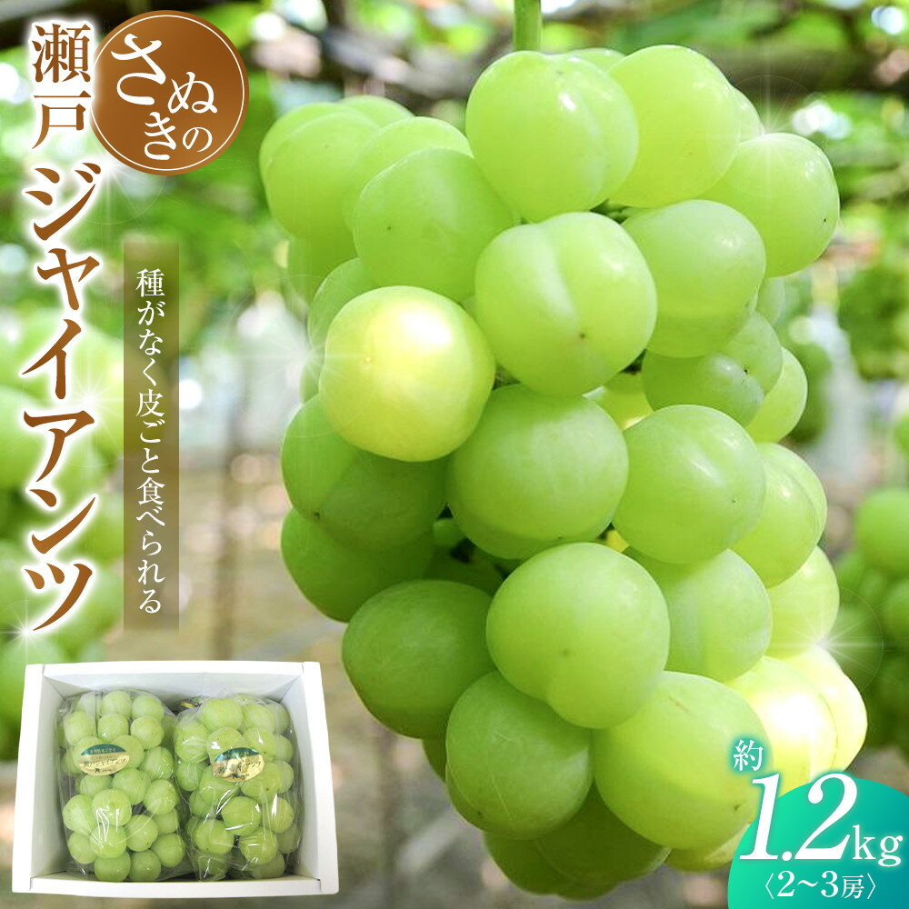 【ふるさと納税】瀬戸ジャイアンツ 約1.2kg (2～3房) 葡萄 ぶどう 果物 フルーツ 人気 数量限定 ギフト 贈答 | ぶどう 葡萄 瀬戸ジャイアンツ 巨峰 果物 フルーツ スイーツ 特産品 デザート 旬 期間限定