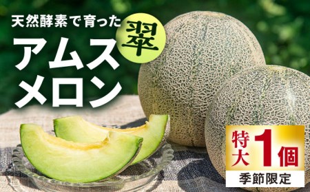 【先行予約】メロン 特大 1個  [JAZ006] アムスメロン