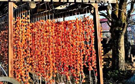 蔵王つるし柿　２５０ｇ×６パック（Ｓ～Ｍサイズ）　0015-2407