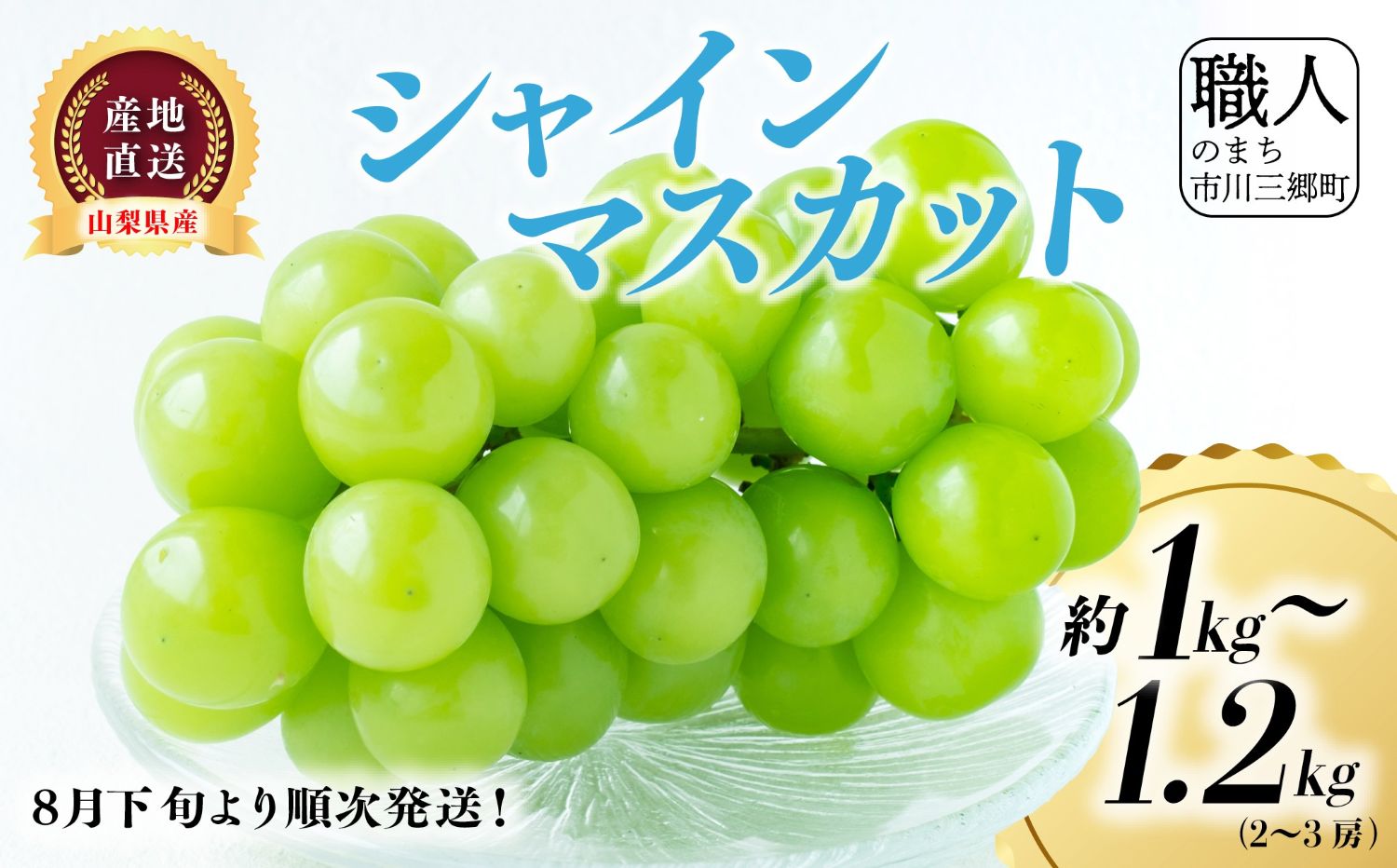シャインマスカット 【2026年発送】約1～1.2kg (2～3房) ぶどう 葡萄 山梨県 フルーツ 果物 くだもの ギフト 産地直送 人気 村松農園 [5839-2236]