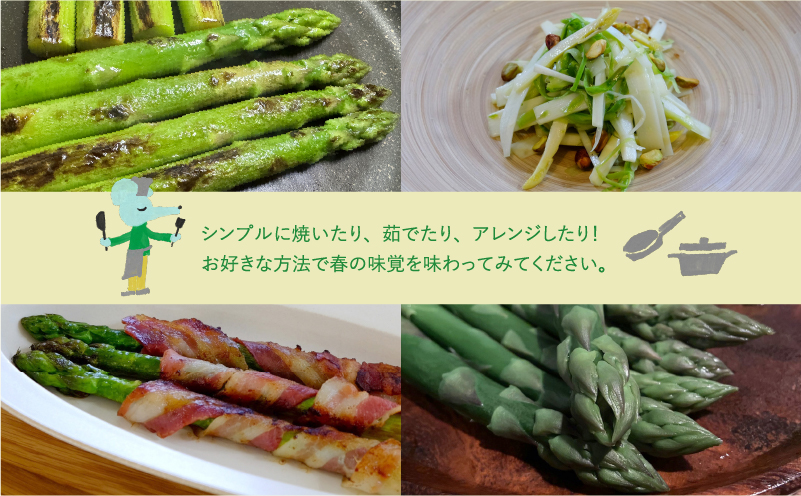 【令和8年産】 先行予約 北海道 上富良野産 アスパラガス 3L サイズ 800g アスパラ 上富良野町 先行予約 