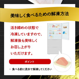 高級大和ブリのお造り8人前 N072-YA981