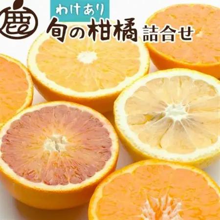 家庭用 柑橘詰合せ5kg+250g(傷み補償分)【訳あり】【有田の春みかん・フルーツ詰め合せ】【配送不可地域：離島・北海道・沖縄県】【1176705】