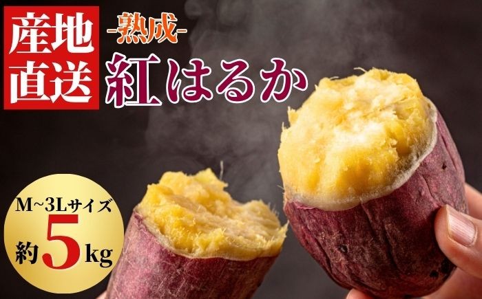 
                  【 先行予約 10月 発送】 さつまいも 紅はるか 5kg 【駿河農園ベジスル】 サツマイモ さつま芋 薩摩芋 5キロ ５キロ ５ｋｇ 5000g M L LL 3L やさい 野菜 冬野菜 秋野菜 風物詩 定番 旬 焼き芋 やきいも 焼芋 いも 芋 イモ おいも おやつ 人気 美味しい 甘い 国産 岩手県産 産地直送 予約 おすすめ オススメ
                