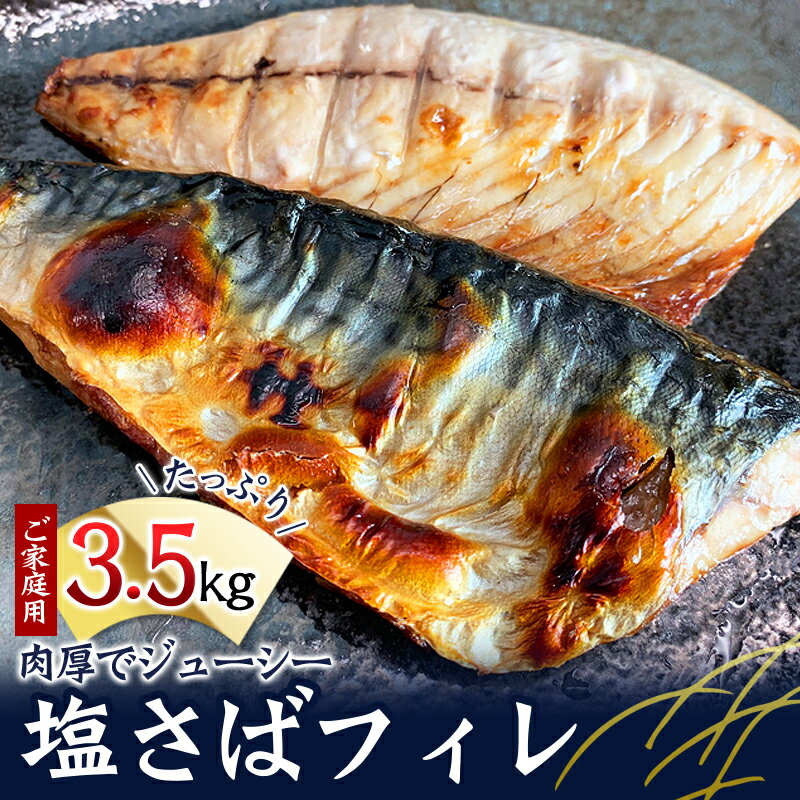 【ふるさと納税】【全3回】大容量！ ご家庭用 塩さばフィレをたっぷりお届け定期便 / さば サバ 鯖 フィレ 切り身 切身 魚 海鮮 焼き魚 おかず 定期便