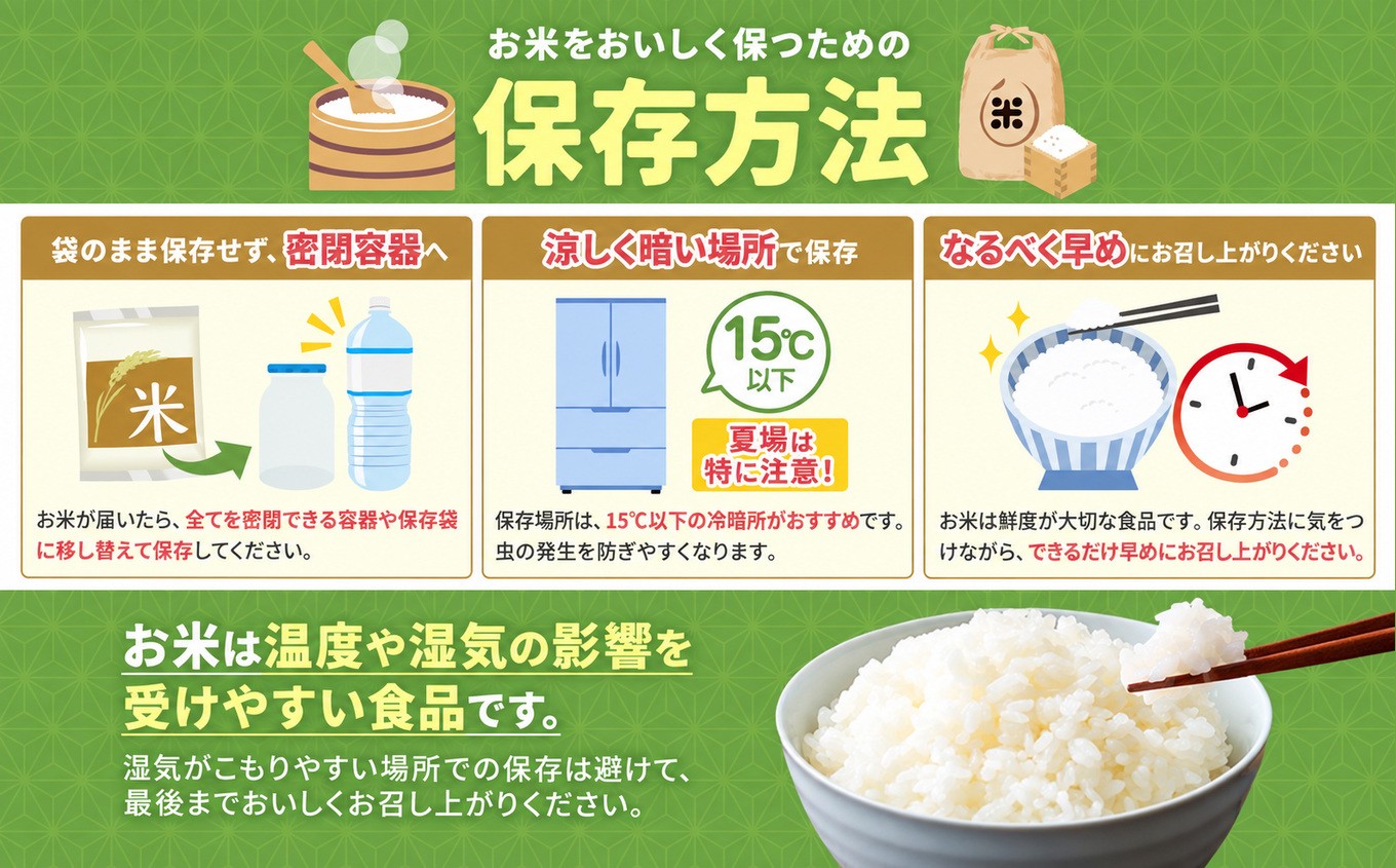 稲を刈ったあとに飛来したシラサギ