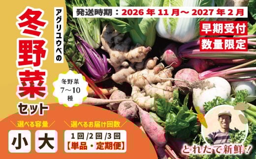 
                  【 選べる 容量 回数 】アグリユウベの冬野菜セット 小 大 早期受付 数量限定 とれたて 新鮮 単品 定期便 2回 3回 農家直送 国産 野菜セット 野菜便 やさい 野菜 冬野菜 産地直送 国産 旬 高知県 四万十市 四万十 しまんと 【2026年11月中旬～2027年2月下旬】
                