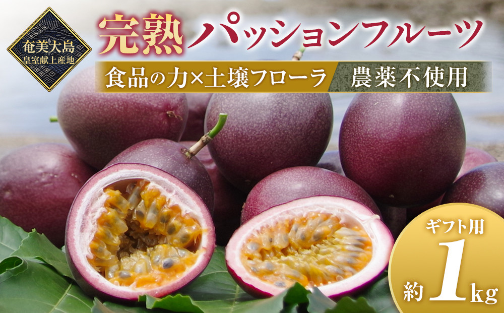 ≪今が旬≫期間限定【農薬不使用】奄美完熟パッションフルーツ約1kg（贈答化粧箱）