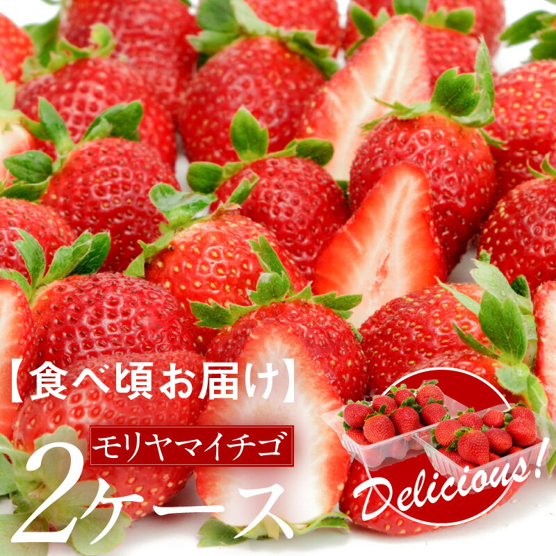 【ふるさと納税】【食べ頃お届け】先行予約受付中！モリヤマイチゴ2ケース
