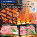 【ふるさと納税】【ステーキ焼肉セット】常陸牛ステーキ・ローズポーク焼肉用　選べる容量 （茨城県共通返礼品）