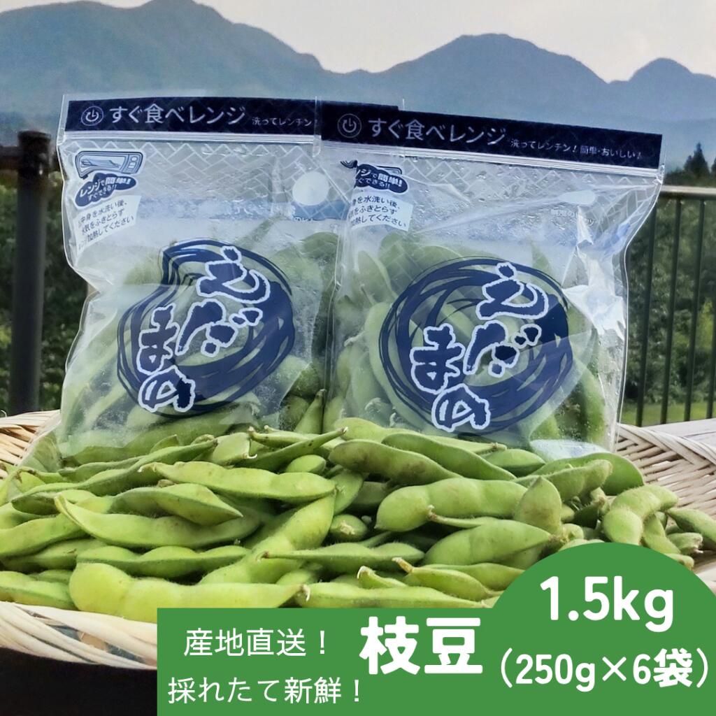 【ふるさと納税】採れたて新鮮！！高山村の名産枝豆　1．5kg
