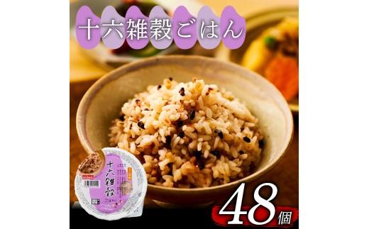 十六雑穀 ごはんパック 160g 48個 パックごはん パックご飯 ごはんパック ご飯パック パックライス パック 16雑穀 雑穀 米 ごはん ご飯 こめ ライス 備蓄 保存 防災 レンジ 調理 簡単