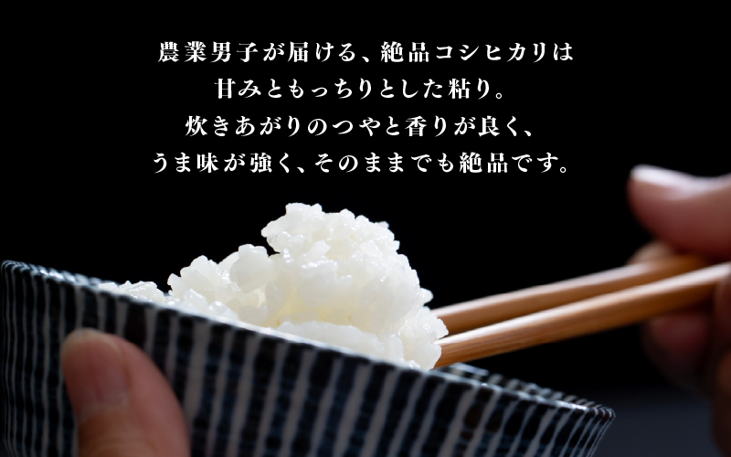 【数量限定！70袋限定販売！】＜2025年11月以降 順次発送予定＞令和7年産　コシヒカリ　通常便（1回配送）計10kg（5kg×2袋）