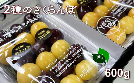 8-015-010　山口さんちのさくらんぼ 2種味わいセット 600g