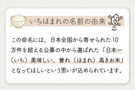 【令和5年産】定期便 ≪6ヶ月連続お届け≫ 福井県のブランド米 いちほまれ 無洗米 5kg × 6回 計30kg 【 無洗米 人気 品種 ブランド米 特A 】 [F-6165]