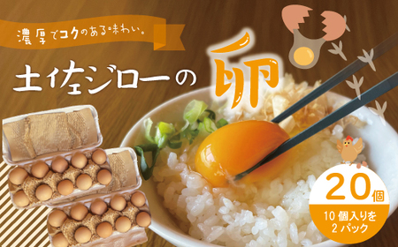 濃厚でコクのある味わい！のびのび育った土佐ジローの自然卵20個（10個入り×2パック）卵 玉子 たまご 鶏卵 土佐ジローの卵 土佐ジロー 自然卵 新鮮 旨味 濃厚 コク おいしい 自慢 こだわり卵 高知 高知県 四万十市 産地直送 送料無料 26-1010