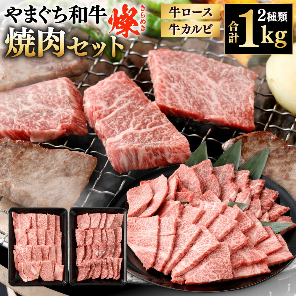 【ふるさと納税】【やまぐち和牛燦】焼肉セット 2種類 計1kg （牛ロース焼肉・牛カルビ焼肉） 各約500g 食べ比べ 牛肉 国産和牛 国産牛 お肉 ロース カルビ 焼き肉 バーベキュー BBQ ブランド牛 黒毛和牛 冷凍
