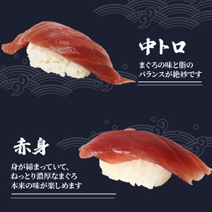 寿司 マグロ ミナミまぐろ 握り 20 貫 セット 中トロ 赤身 南鮪 南まぐろ ミナミマグロ すし 加納商店 静岡県 藤枝市