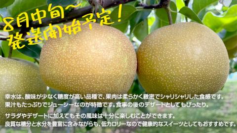 【 2024年 先行予約 】 幸水 梨 約 5kg 10玉～14玉 （ 茨城県共通返礼品 ／ かすみがうら市 ） なし 鈴木農園 産地直送 フルーツ 甘い 直送 茨城 限定 [ED003sa]