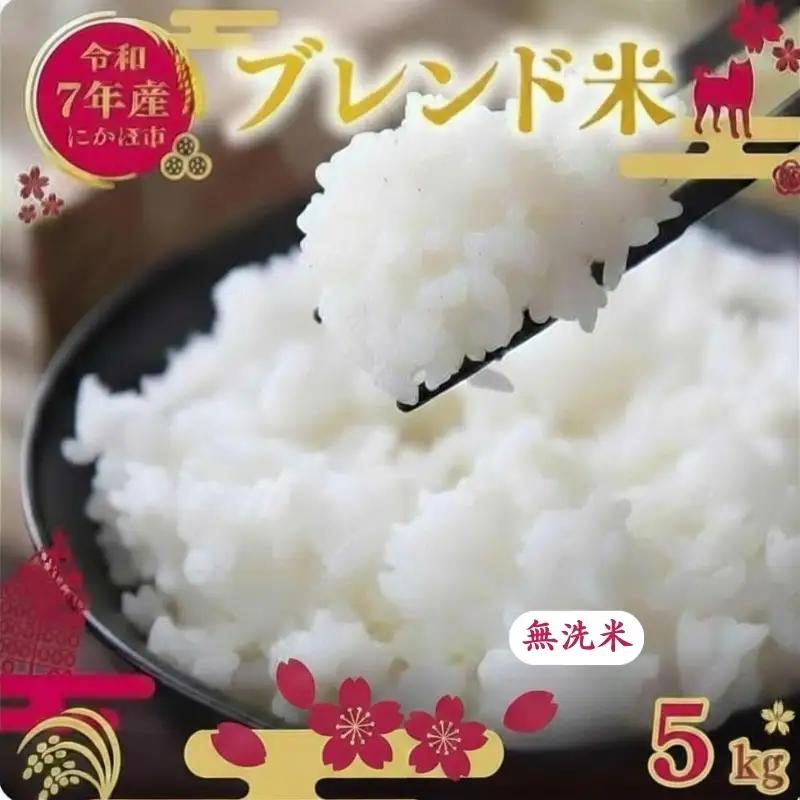 《7営業日以内配送》無洗米 ブレンド米 5kg  令和7年産 無洗米