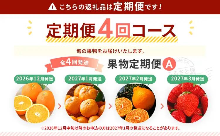 定期便 果物定期便A 4回発送 みかん 山見阪ネーブル デコポン 博多あまおう 定期発送 果物 くだもの フルーツ 柑橘 イチゴ 送料無料 【2026年12月～2027年3月発送】