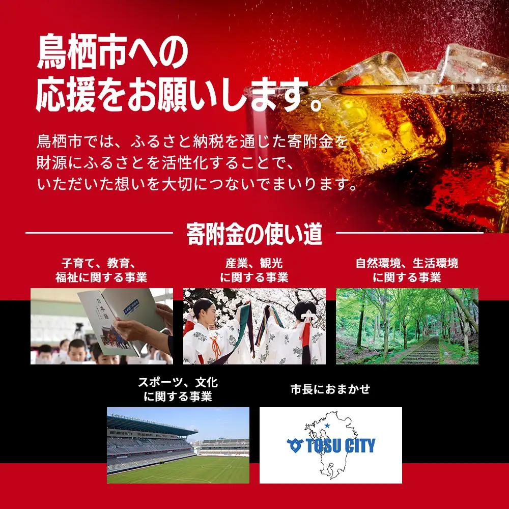 定期便 3ヶ月 コカ・コーラ ゼロシュガー 500ml PET 1ケース 24本 ペットボトル コーラ 飲料 3回 お楽しみ 