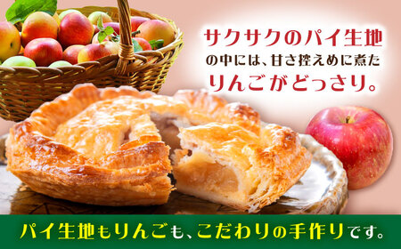 ミニ アップルパイ 直径18cm 1ホール りんご パイ 洋菓子 スイーツ 大村市 大又農園野の実[ACZO002]