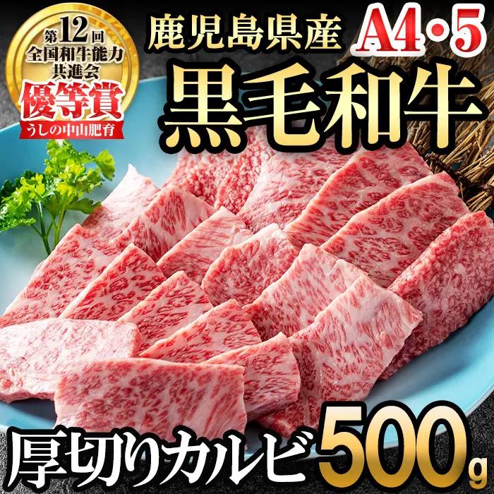 ＜A4・A5等級＞鹿児島県産黒毛和牛 うしの中山 焼き肉用厚切りカルビ 500g 鹿児島県産 黒毛和牛 和牛 カルビ 肉 牛肉 国産 九州産 焼肉 BBQ 小分け A5 A4 日本一 ランキング 人気