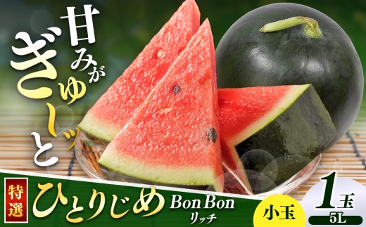【先行受付】松本市 波田産 小玉すいか ひとりじめBonBonリッチ 5L特選プレミアム(約3.9kg以上)1玉｜先行予約 スイカ すいか 小玉スイカ 小玉 果物 くだもの 新鮮 果汁 ジューシー フルーツ ふるーつ 長野県 松本市