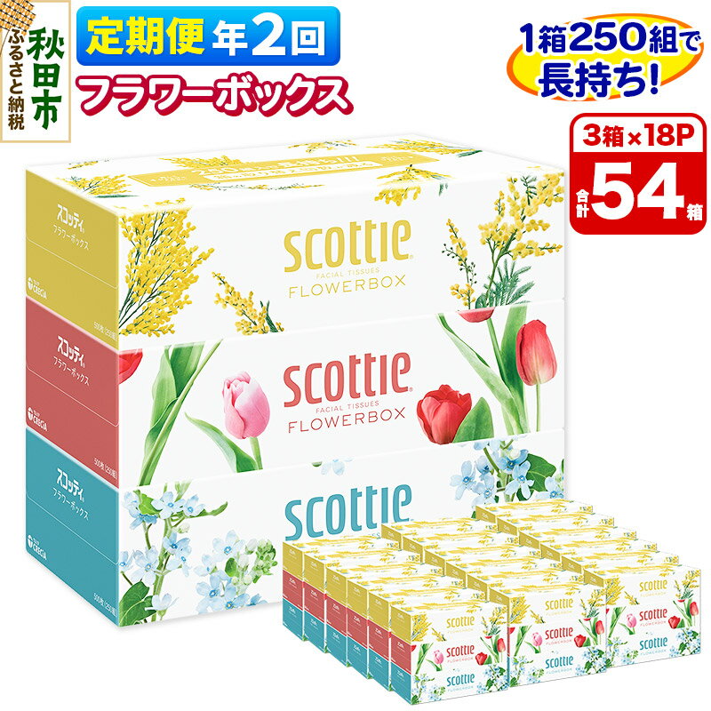 【ふるさと納税】《6ヶ月ごとに2回お届け》定期便 ティッシュペーパー スコッティ フラワーボックス250組 54箱(3箱×18パック) 【レビューキャンペーン中】