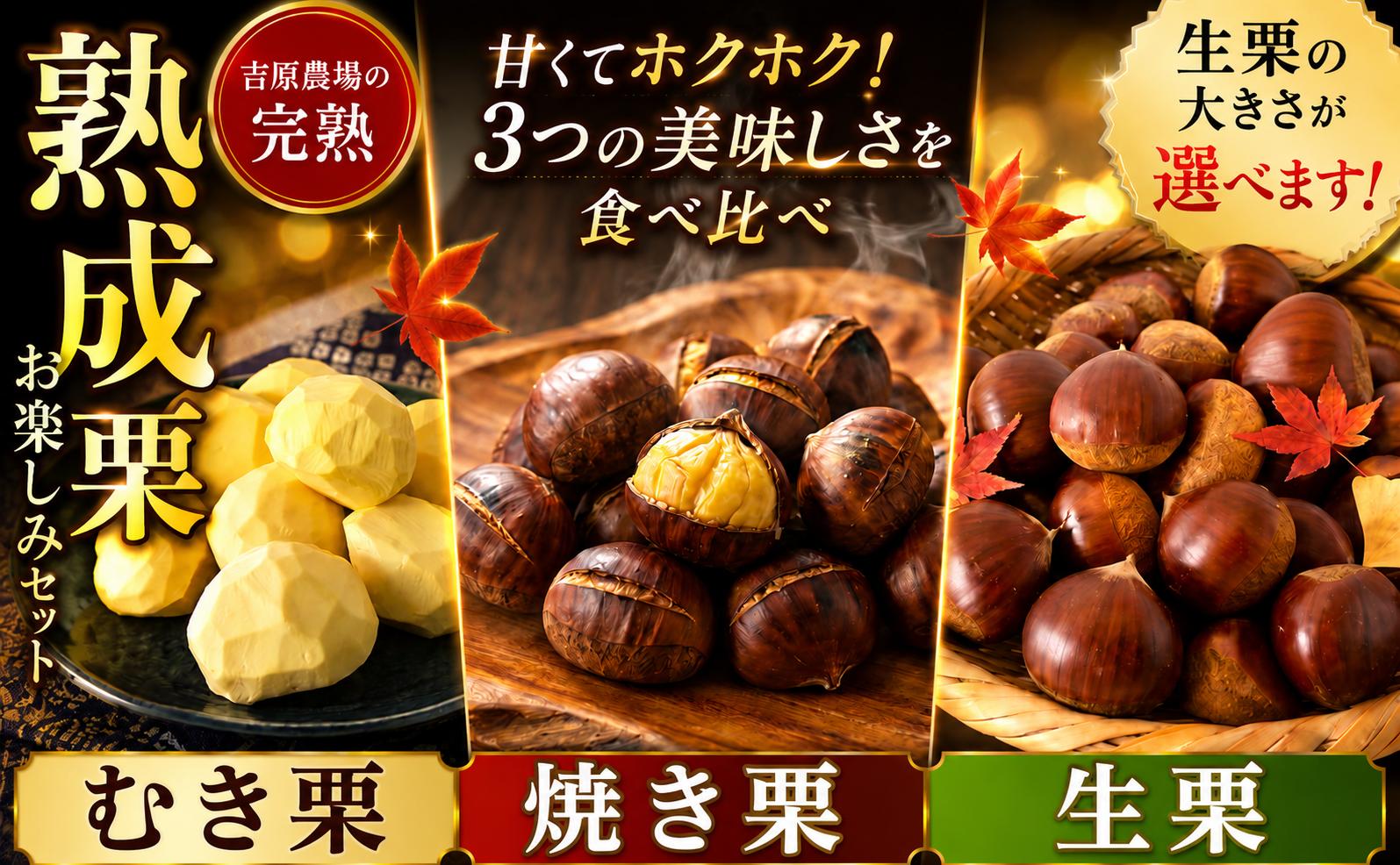
                  【先行受付】 栗 生栗 生むき栗 焼き栗 セット 選べる大きさ 令和8年産 完熟 栗 くり クリ 栗ごはん 栗スイーツ 2026年度産 国産 味覚 生ぐり なまぐり 生むきぐり やきぐり 和栗 わぐり 先行受付 秋の味覚 マロン 生くり 甘栗 焼き栗 ゆでぐり 料理 和菓子 炊き込みご飯 ごはん 栗きんとん 数量限定 贈答 ギフト 数量限定 旬  秋 冬 正月 おせち 茨城県 筑西市 関東
                