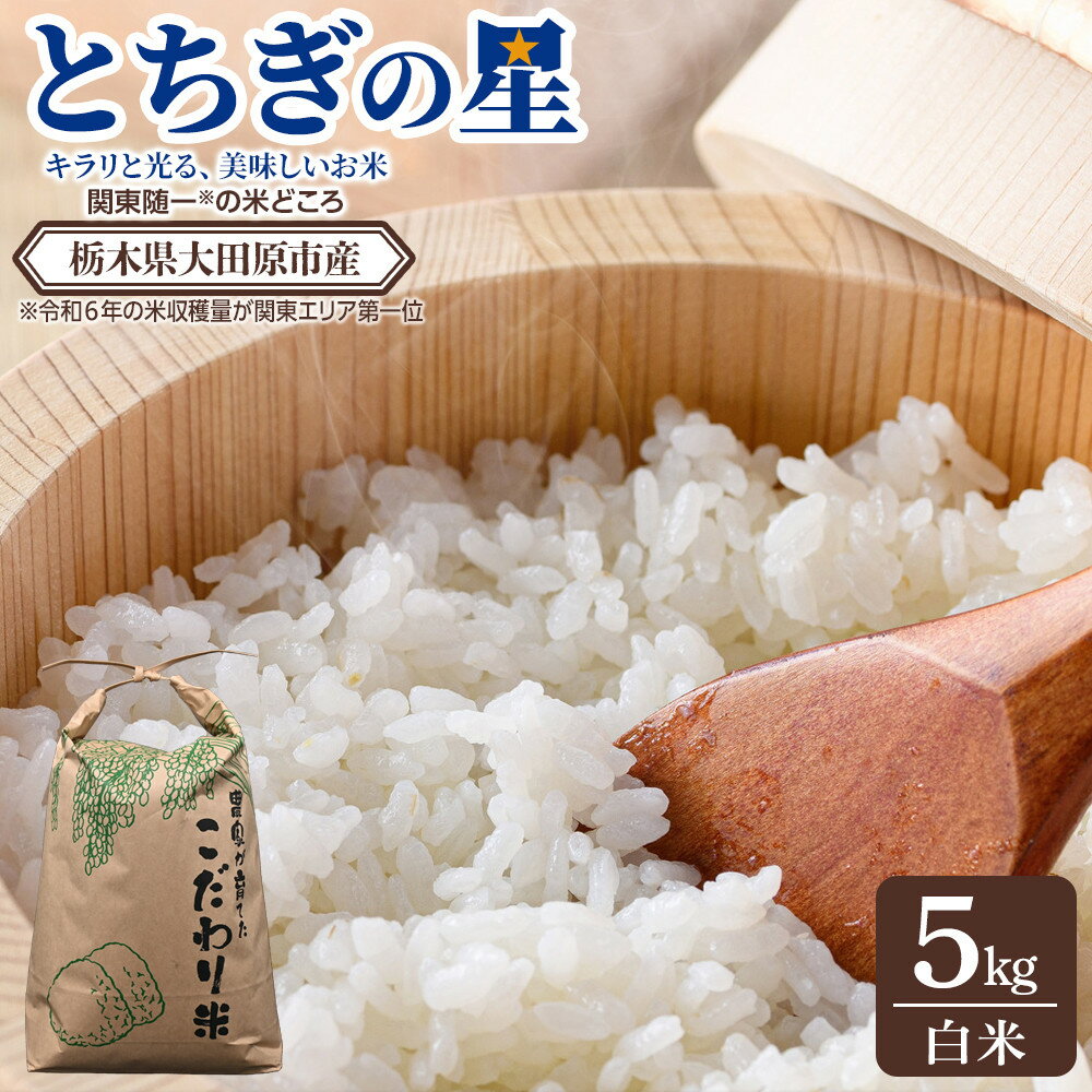 【ふるさと納税】【令和7年産 】栃木県 大田原市産 とちぎの星 白米 5kg ｜コメ お米 銘柄米 農家直送 産地直送 産直 数量限定 | 米 こめ 人気 おすすめ 送料無料