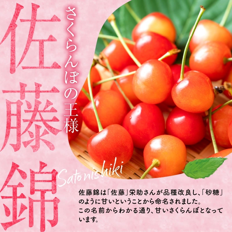 さくらんぼの王様 佐藤錦 200g×4パック 合計800g(L~2L) 【2025年発送先行予約】フルーツ王国 さくらんぼ サクランボ 桜桃 佐藤錦 余市産さくらんぼ 小分けさくらんぼ 果物 人気さく