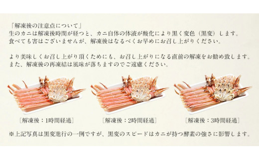 《12月1日?25日着》カット済ズワイ蟹 ハーフポーション 600g[053-a013_A(20)-a]