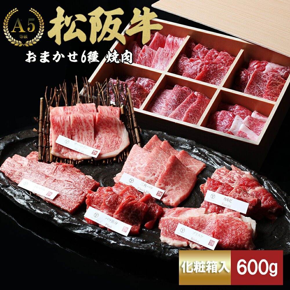 【ふるさと納税】松阪牛 極上焼肉 おまかせ6種 600g ( 牛肉 ブランド牛 高級 和牛 国産牛 松阪牛 松坂牛 焼肉 焼き肉 BBQ バーベキュー 焼肉牛肉 赤身 霜降り 霜降り牛肉 赤身牛肉 松阪牛焼肉 松阪肉 松阪牛 人気 おすすめ 三重県 松阪市 竹屋牛肉店 )