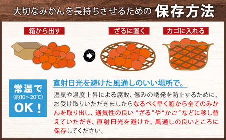 ご家庭用 温州みかん 約5kg みかん