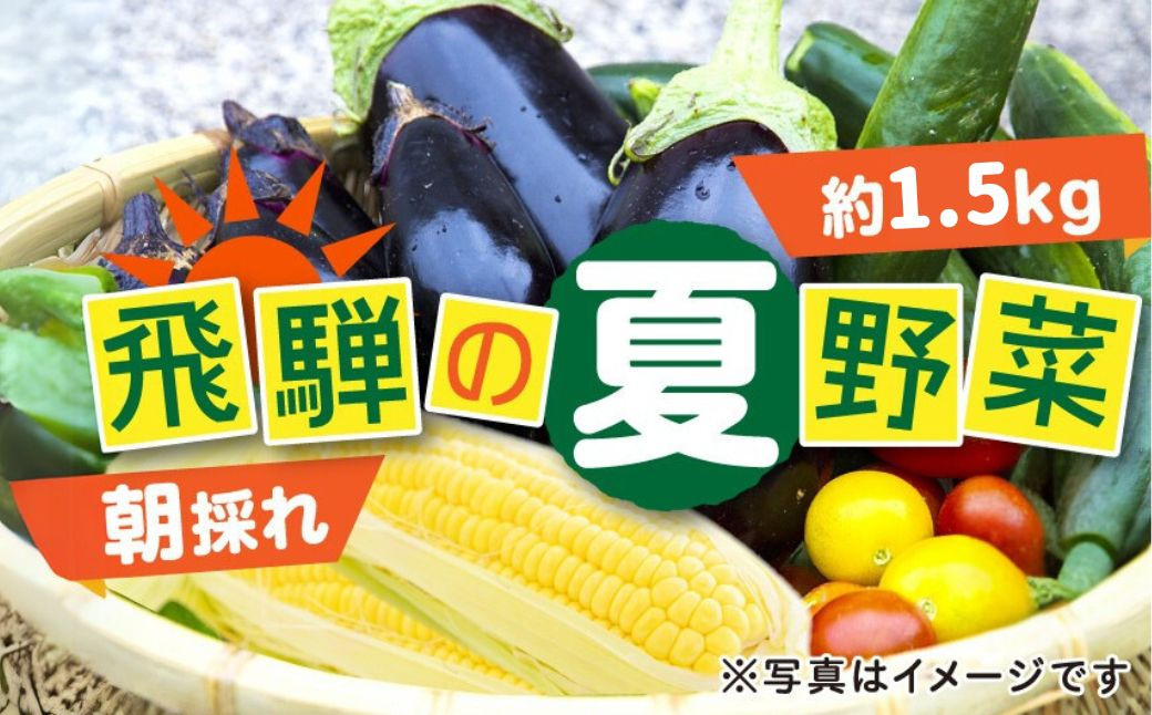 
            先行予約 令和7年産《7月下旬～9月下旬発送》夏秋 野菜 たっぷり詰め合わせ セット 約1.5kg 朝採れ 産地直送
          
