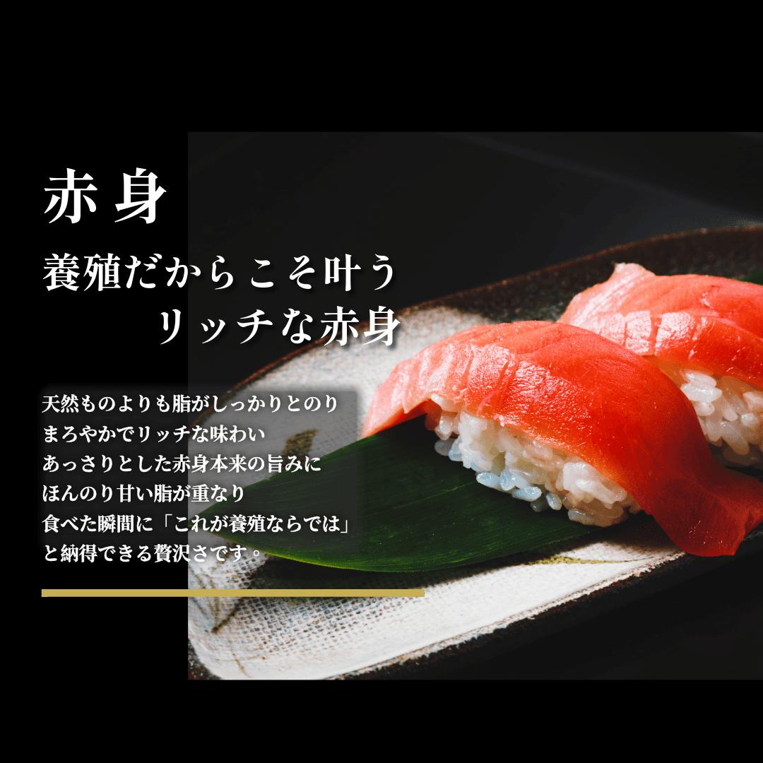 (1037)油谷産養殖本マグロ 赤身 中トロ 柵セット