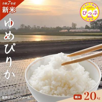 ふるさと納税 比布町 【先行予約】【菅原クリーンファーム】2025年産 ゆめぴりか 20kg 精米 特Aランク