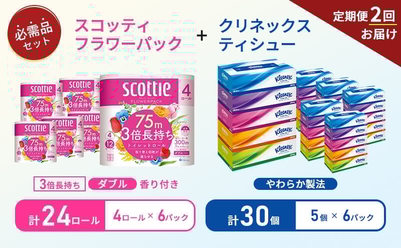 
            【6ヶ月ごと計2回お届け】ティッシュ クリネックス ティシュー 5箱入×6パック トイレットペーパー ダブル スコッティ3倍長持ち 4ロール×6パック フラワーパック 香り付き 長持ち 防災 災害 日用品 生活用品 生活必需品 [№5704-1781]
          