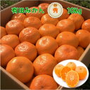 【ふるさと納税】高糖度 有田みかん 秀品 10kg (M～2Lサイズおまかせ)【ミカン 蜜柑 柑橘 温州みかん 有田みかん 和歌山】